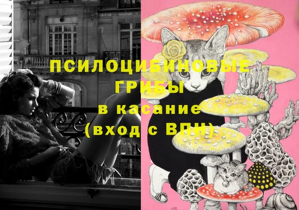 героин Алексин
