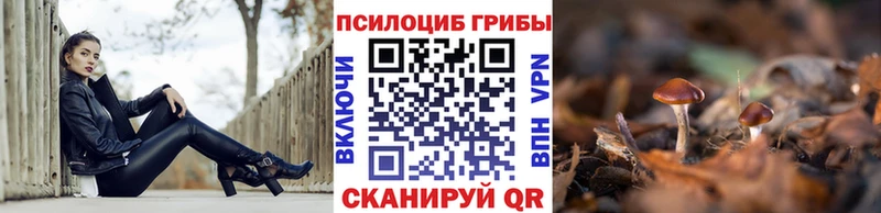 blacksprut маркетплейс купить Дюртюли Галлюциногенные грибы прущие грибы